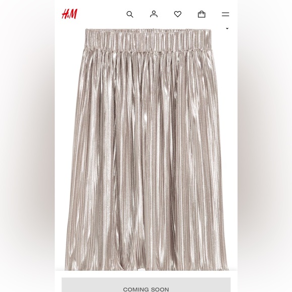 GAP Dresses & Skirts - H& M Metallic pleated skirt gold w silvery undertones Sz m/sm